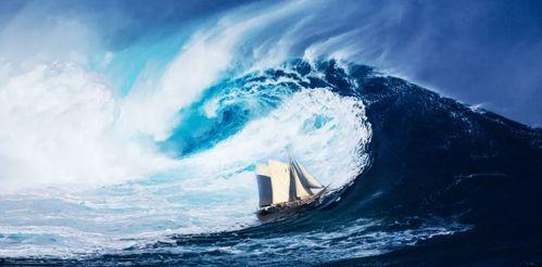 乘风破浪的吃瓜群众N号,乘风破浪中的趣味观察