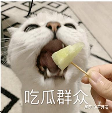 蛤蟆玩偶吃瓜群众,吃瓜群众热议不断